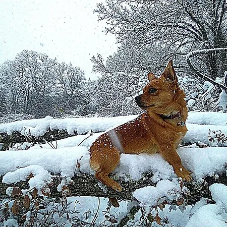 Restaurante Ducal Szálloda